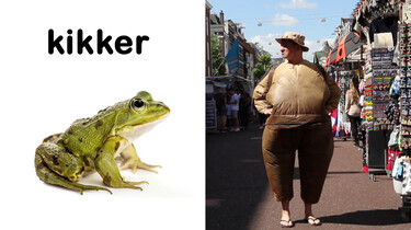 Snapje?: Kikker en pad