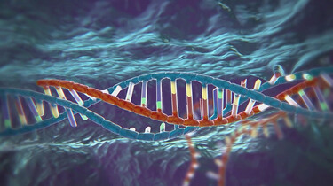 Nieuwsuur in de klas: Menselijk DNA aanpassen 