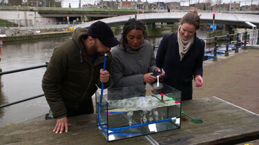 Hoe zorg je dat plastic niet in de zee komt?: Plastic opvangen met bubbeltjes