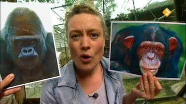 Het Klokhuis: Dierenoogarts