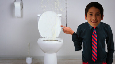 Wanneer is de wc ontstaan?