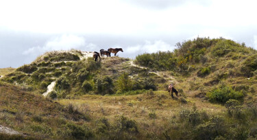 Vroege Vogels in de klas : Schiermonnikoog, het kleinste bewoonde Waddeneiland