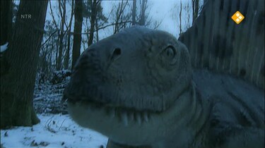 Nieuws uit de natuur: Fossielen en dino's
