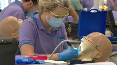 Het Klokhuis: Orthodontist