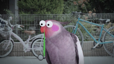Kunnen vogels verkouden worden?
