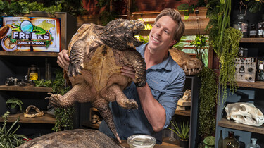 Freeks Jungle School: Lederschildpad