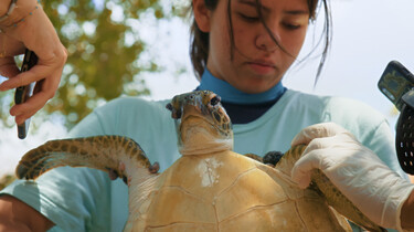 Mensjesrechten: Julieta & de schildpadden in de plastic soep