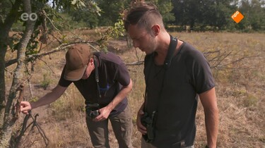Tussen Kop en Staart: Aflevering 6