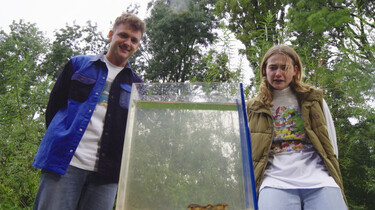 Steken en Prikken: De Geelgerande Waterroofkever