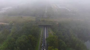 Het grootste ecoduct van Europa: Een natuurbrug van 800 meter lang