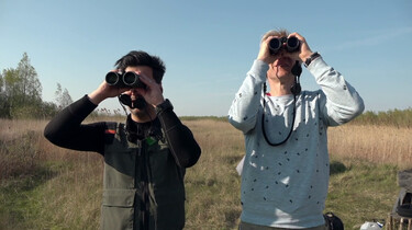 Vroege Vogels in de klas : Zeearend en visarend in Nederland 