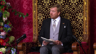 Hoeveel macht heeft de koning?: Een symbolische functie voor het land