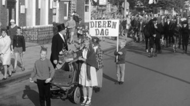 Waarom vieren we Dierendag?: Onze omgang met dieren door de jaren heen