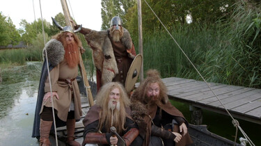 Waarom kwamen de Vikingen naar Nederland?: Op jacht naar kostbaarheden en vrouwen