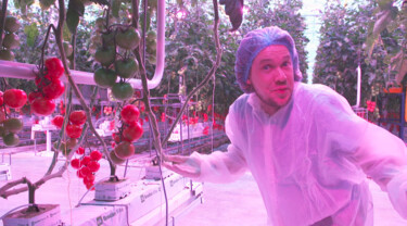 Het Klokhuis: Digitale tomaat