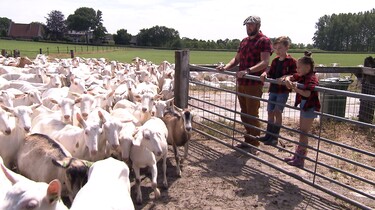 Beestenbrigade missie: Geitenboerderij