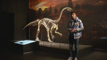Het Klokhuis: Paleontologie