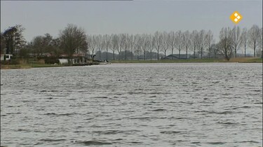 Nieuws uit de natuur: Zaad of stek