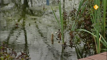 Nieuws uit de natuur: Uitscheiding