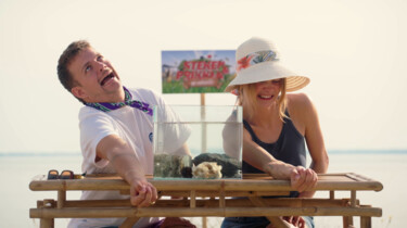 Steken en Prikken: Op Vakantie: De Zee-egel