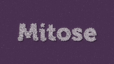 Clipphanger: Wat is mitose?