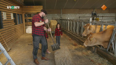 Beestenbrigade missie: Limousines en Schotse Hooglanders