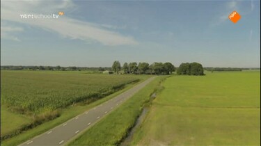 Nieuws uit de natuur: Vliegkunstenaars