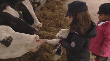 Op de boerderij