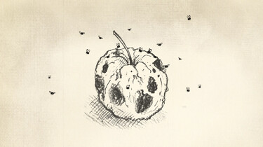 Clipphanger: Waar komen fruitvliegjes vandaan?