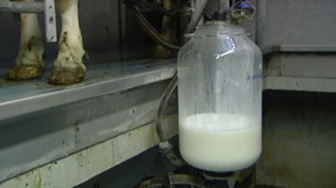 De melkfabriek