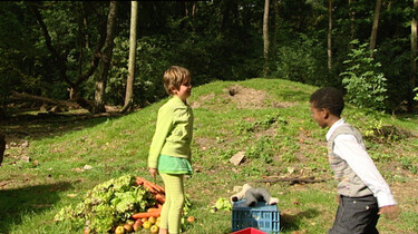 Naar het berenbos