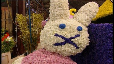 Carnaval vieren