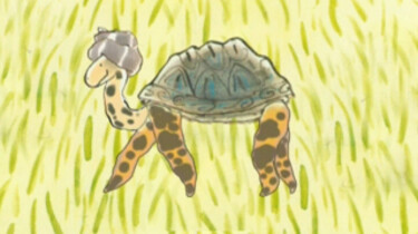 Spin en schildpad