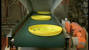 Plastic frisbee