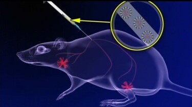Nanomedicijnen