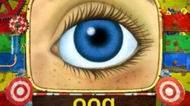 Het oog
