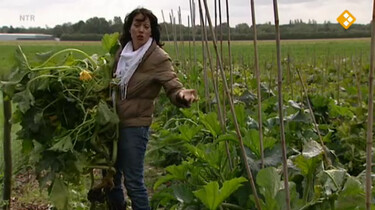 Nieuws uit de natuur: De eetbare tuin
