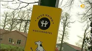Het Klokhuis: Koeienhotel