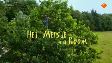 ZappDoc: Het meisje en de boom
