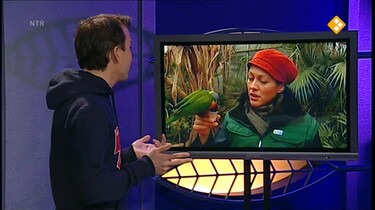 Nieuws uit de natuur: Snavels
