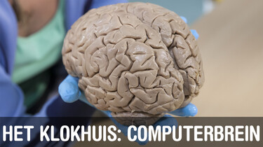 Het Klokhuis: Computerbrein