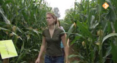 Bio-bits vmbo: Nederlandse natuur: Het platteland