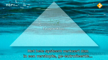 Bio-bits bovenbouw Ecologie: Oceanen: voedselweb en energiestromen