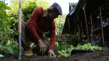Werken in de groentetuin