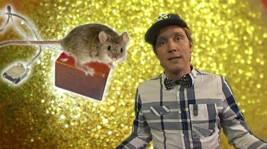 Waarom is de computermuis vernoemd naar een muis? 