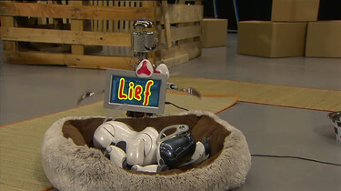 Wat kun je met een robothond?