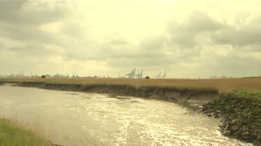 Land ophogen op een natuurlijke manier