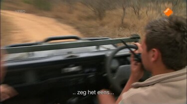 Freeks wilde wereld: Leeuwen en boomslang