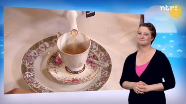 Huisje boompje beestje met gebarentolk: Huisje boompje beestje: op de thee