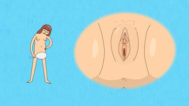De vagina